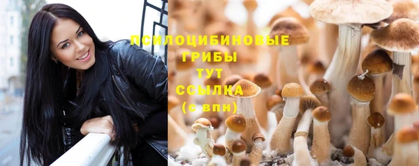 молекула духа Аркадак