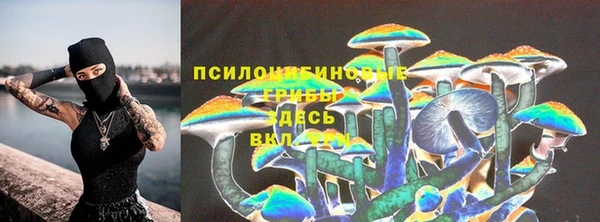 молекула духа Аркадак