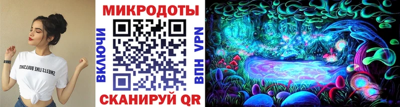 Псилоцибиновые грибы Psilocybe  Окуловка 